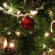albero Natale albero Natale